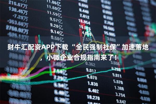 财牛汇配资APP下载 “全民强制社保”加速落地，小微企业合规指南来了！