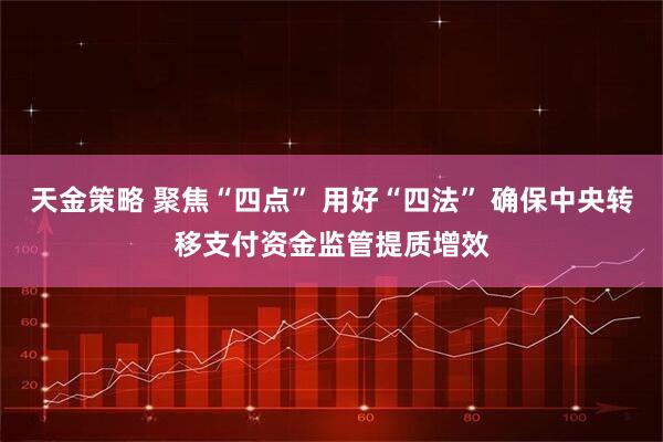 天金策略 聚焦“四点” 用好“四法” 确保中央转移支付资金监管提质增效
